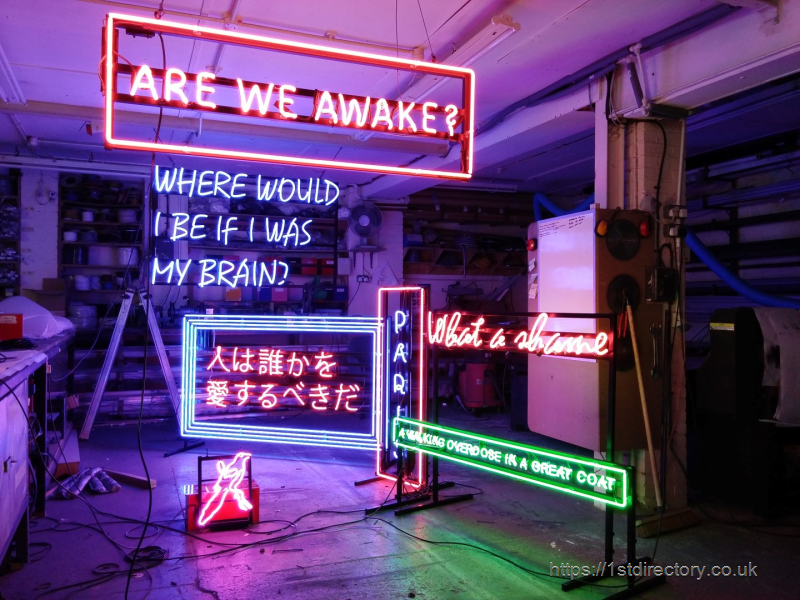 The 1975 Neon Signs image