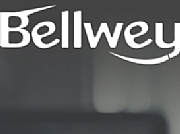 Bellwey Digital Marketing Agency logo