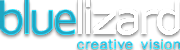 Blue Lizard Creative Vision logo
