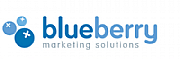 Blueberry Marketing Solutions logo