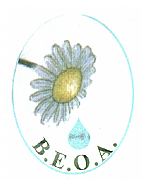 British Essential Oil Association Ltd logo