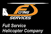 Flying Services logo