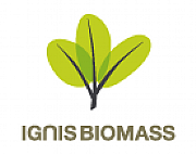 Ignis Energy logo