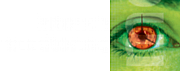 Intouch Monitoring Ltd logo