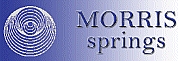 Morris Springs Ltd logo