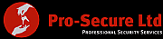Pro-Secure Ltd logo