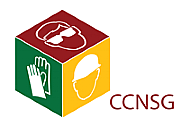 Remote Cctv Monitoring logo