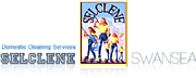 Selclene Swansea logo