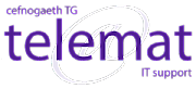 Telemat It Services logo