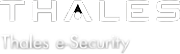 Thales E-security Ltd logo
