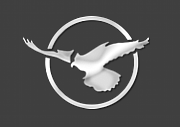 The Inflite Jet Centre logo