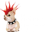 The Professional Promotion Co Ltd logo