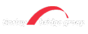 Tinsley Bridge Group logo