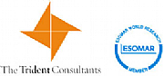 Trident Consultants Ltd logo