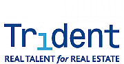 Trident International Ltd logo
