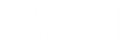 Wsi Web Solutions Kent logo