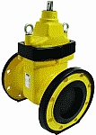AEON Resilient Seated Gate Valve, Type A, Gas image