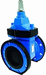 AEON Resilient Seated Gate Valve, Type A, Water image