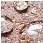 Stone Sealers image
