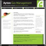 Screen shot of the Ayton Consulting website.