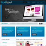 Screen shot of the Blue Lizard Creative Vision website.