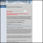 Screen shot of the Snv Noise & Vibration website.
