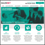 Screen shot of the SalesNet Ltd website.