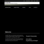Screen shot of the Tavakoli Associates Ltd website.