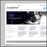 Screen shot of the Junglebeat Marketing website.