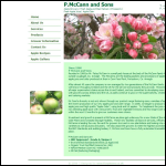 Screen shot of the P Mccann & Sons website.