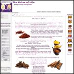 Screen shot of the The Spice of Life website.