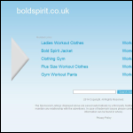 Screen shot of the Bold Spirit Financial Services website.