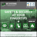 Screen shot of the N T Systems website.