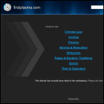 Screen shot of the First Plasma Profiles Ltd website.