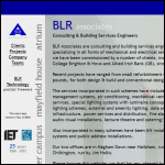 Screen shot of the Blr Associates website.