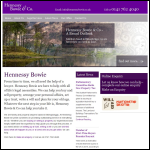 Screen shot of the Hennessy Bowie & Co website.