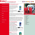 Screen shot of the Buchen ICS website.