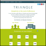 Screen shot of the Triangle Infotech Ltd website.