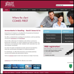 Screen shot of the David Jones & Co website.