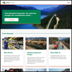 Screen shot of the Tanker Trans Ltd website.