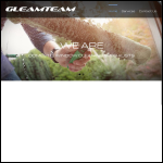 Screen shot of the Reach, Clean & Shine Ltd website.