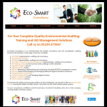 Screen shot of the Eco-Smart Consultancy website.