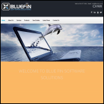 Screen shot of the Blue Fin Software Solutions website.