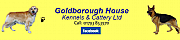 Goldborough House Kennels & Catteries logo