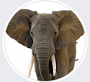 3 Elephants Antiques Arcade logo