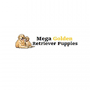 Mega Golden Retriever Puppies logo