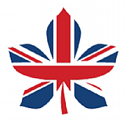 British dissertation help logo