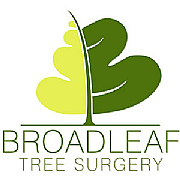 Broadleaf Tree Surgery logo