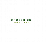 Broderick Tree Services logo
