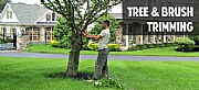 Thorley Close Trees Pro logo